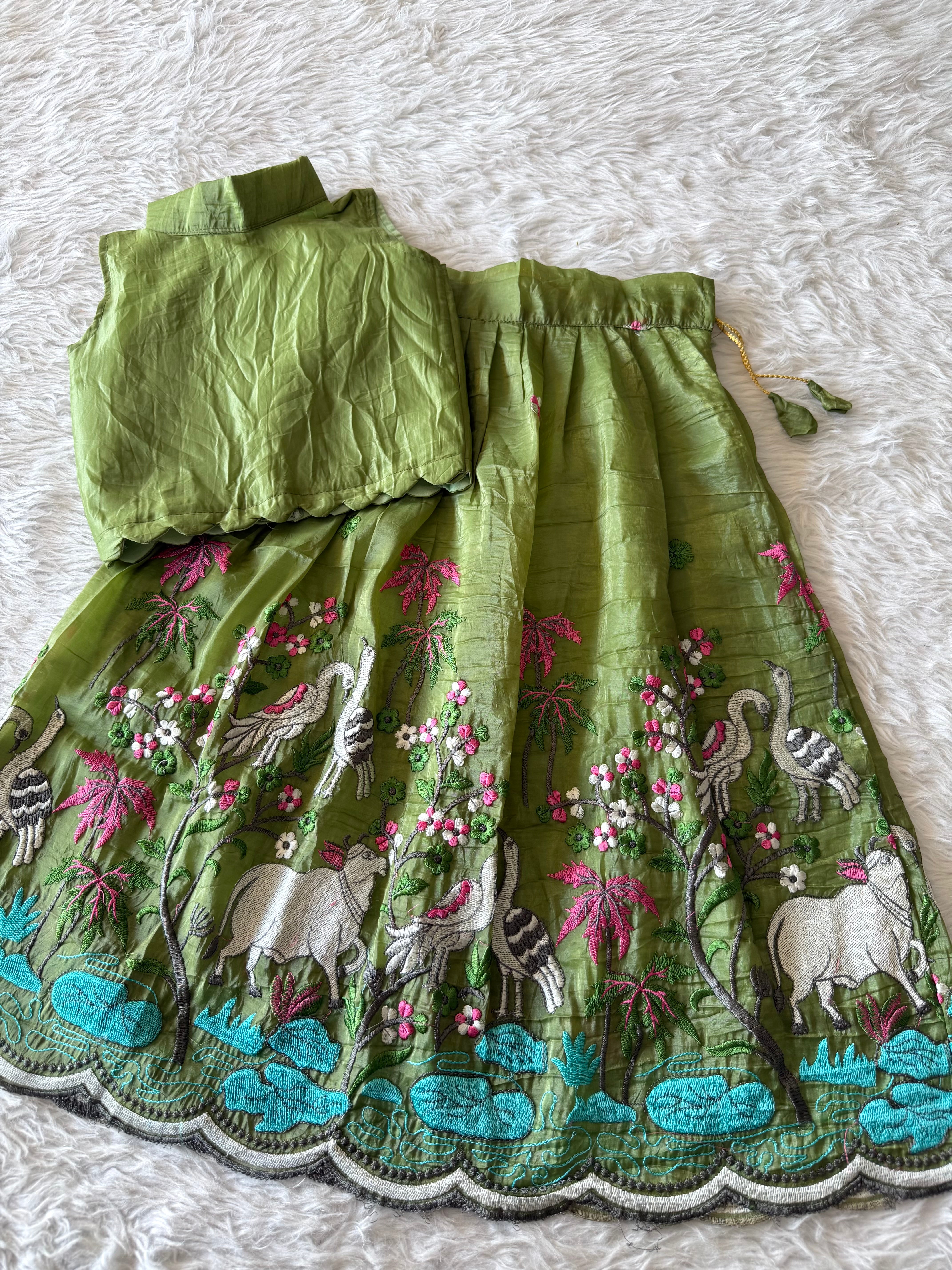 Kids Embriodery Lehenga