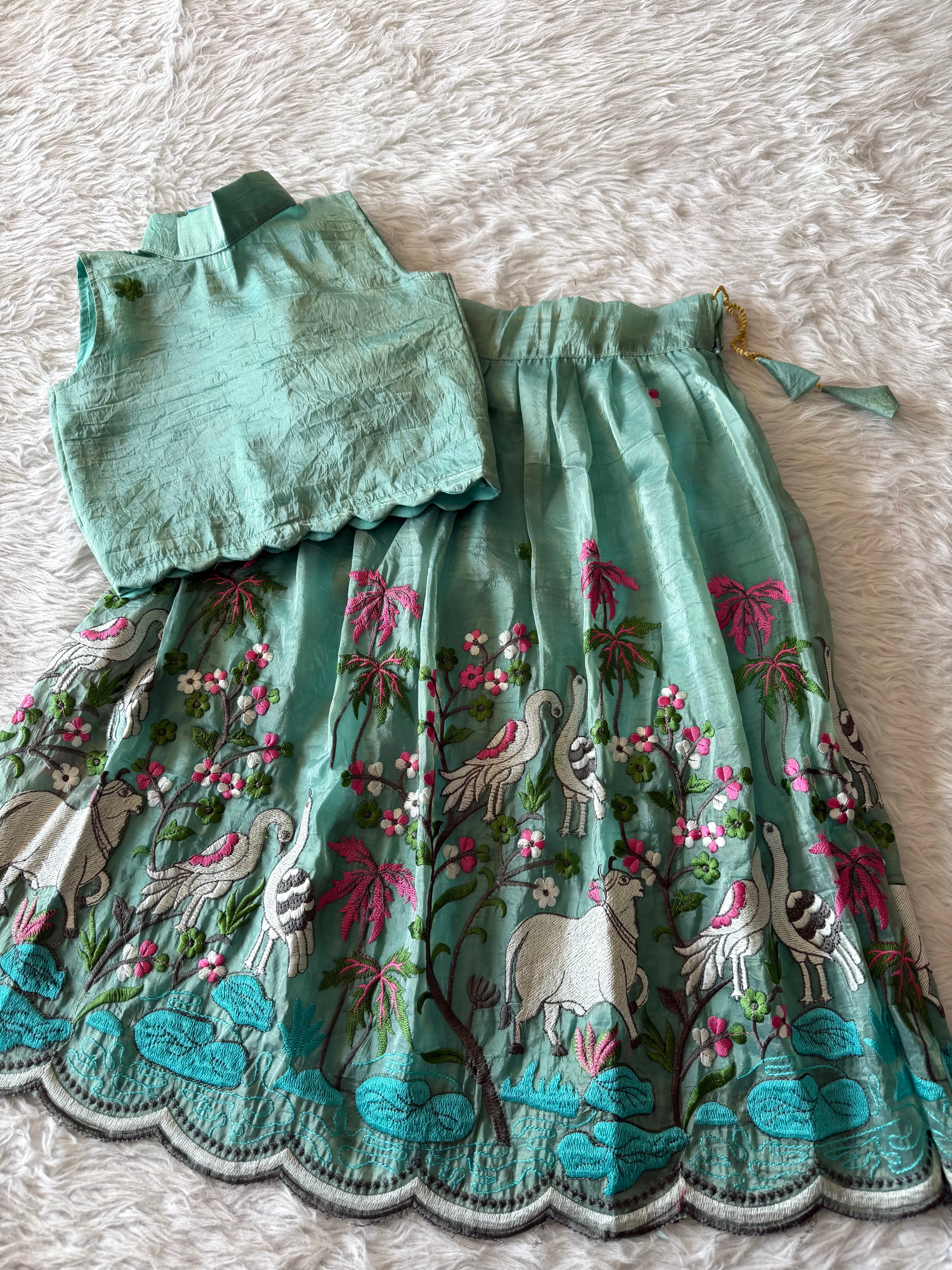 Kids Embriodery Lehenga